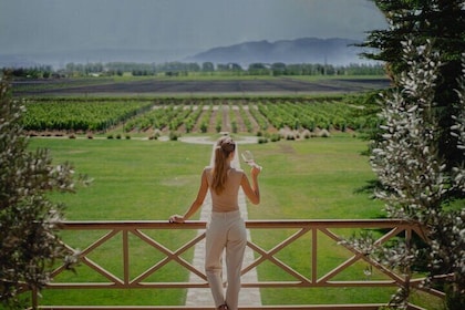 Visit Caelum and Norton Tour with Lunch