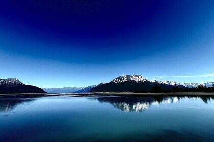 Choose Your Own Adventure from Anchorage Alaska