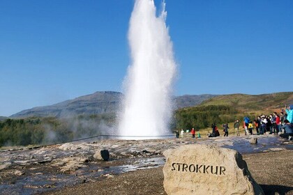 A Gourmet Golden Circle Including Fridheimar Green House Visit