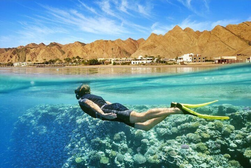 From Sharm: Full day introduction to Scuba Diving with Lunch