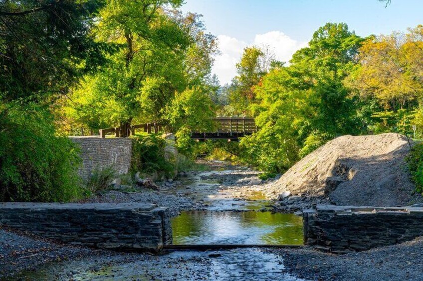 Love Struck Strolls: Ithaca’s Romantic Walk