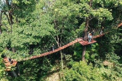 Sky Rock Khaolak Jungle Adventure Zipline Experience