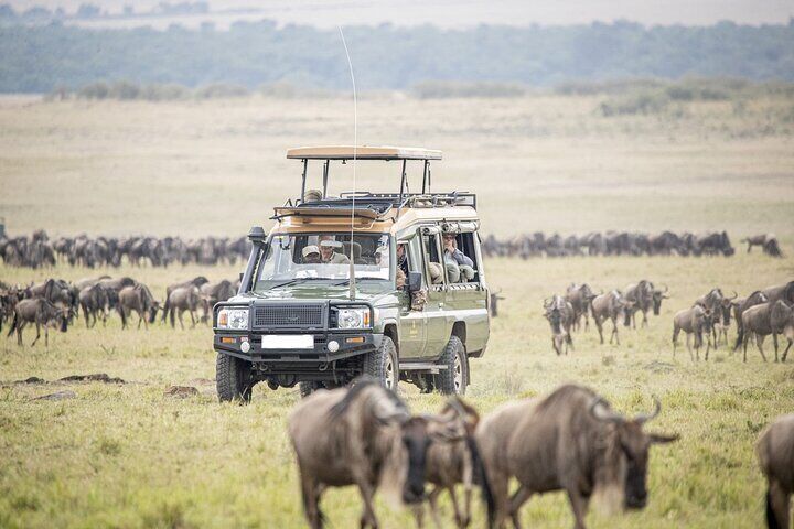  10 Days Explore Kenya Wildlife Luxury Safari