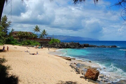 Oahu Private Tour North Shore, Waimea Falls and Dole Plantation