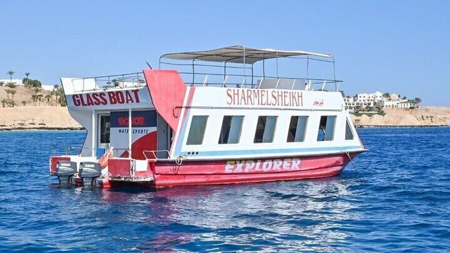 Glass Boat Experience 1 Hour with Transfer - Sharm El Sheikh