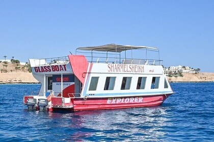 Glass Boat Experience 1 Hour with Transfer - Sharm El Sheikh