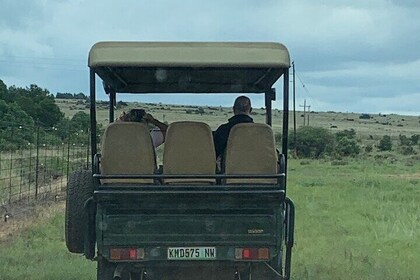 Kruger National Park South Africa