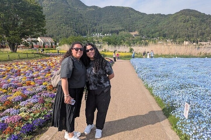 Lake Kawaguchi : Private Half-Day Tour with local guide