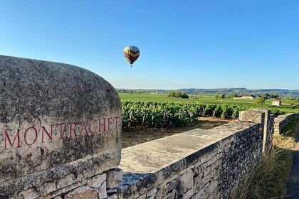 Premium Private Wine Tasting Tour - Iconic Premier & Grand Crus