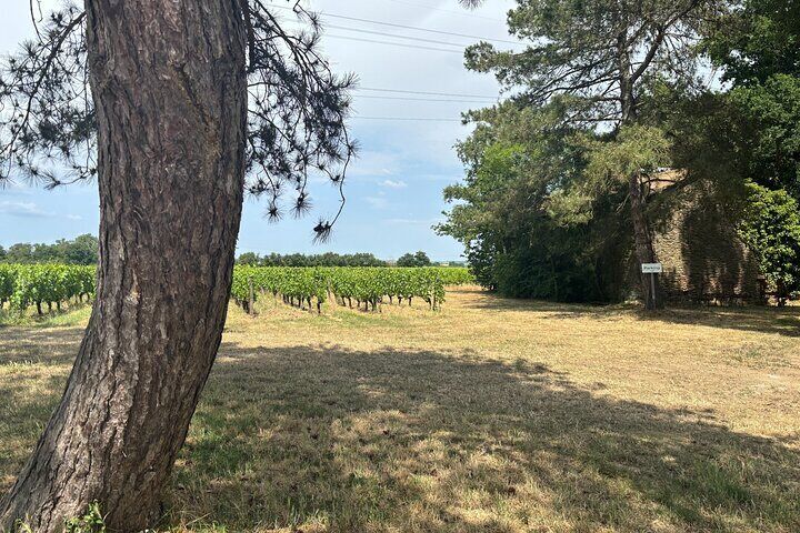 A location in the middle of the vineyards of Chardonnay for the night