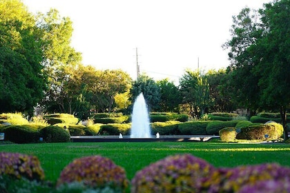 Texas Discovery Gardens General Admission
