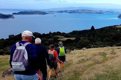 Waiheke Island 5 Day Self Guided Walking Adventure