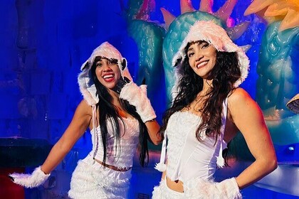 Chill at -18°C Isla Mujeres Ice Bar (tickets)