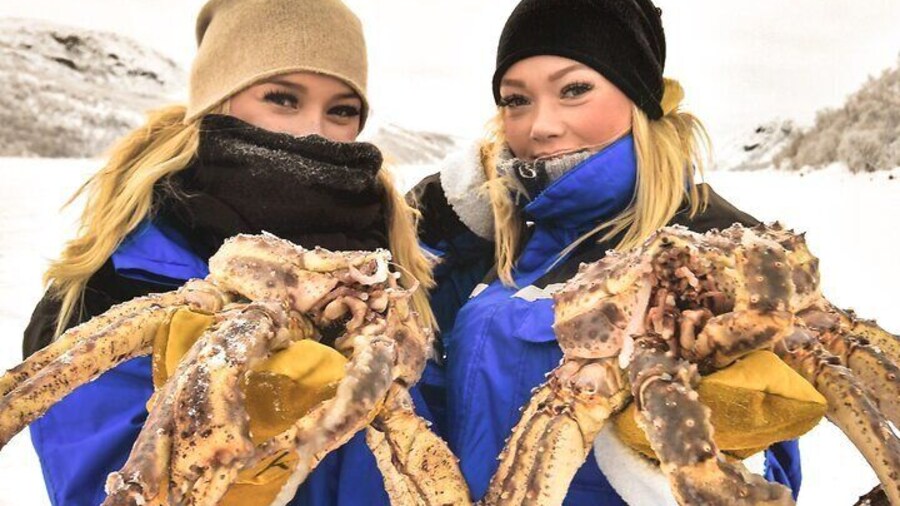 King Crab Safari and visit a Snowhotel from Saariselkä