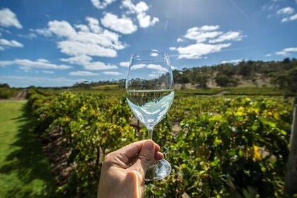 Barossa Valley Wine Tour Tastings and Lunch Included