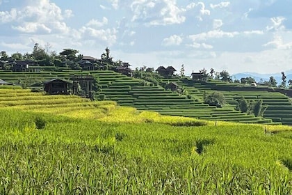 Private Tour to Chiang Mai Rice Terraces and National Park