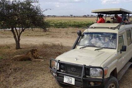 7-Days Private Jeep Safari Tour in 5 Star Luxury Lodge from Nairobi