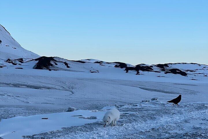 Silver Circle Private Tour from Reykjavík