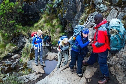 Mount Kilimanjaro 4WD Shared Adventure