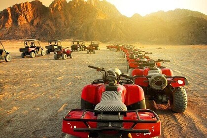 Desert Tour, Dinner, and Camping in Luxor