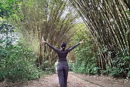 Explore Papallacta and the Amazon in 3 Days