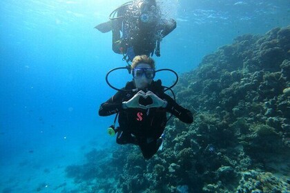 Taster Diving in Hurghada Two dives in the Red Sea