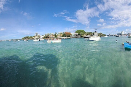 Private Cruise Or Sandbar Trip in Fort Lauderdale/Day or Night