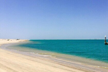 Private Fujairah and Khor Fakkan Tour from Dubai