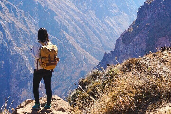 Colca Full Day Arequipa with Feed Included 