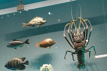 Dinosaurs to Discovery Exploring Lee Kong Chian Museum |Singapore