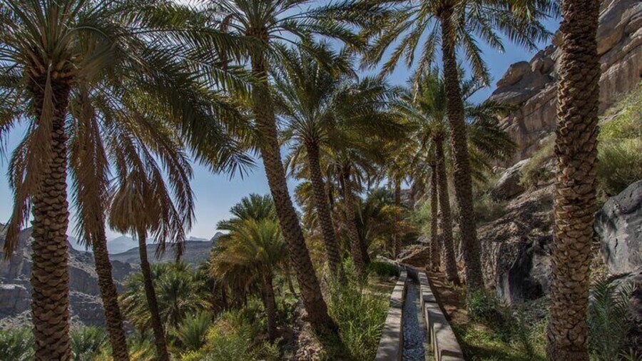 From Muscat: Excursion to Misfat Al Abriyeen and the Jabal Schams summit