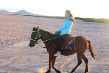 Horse Ride & Egyptian Show With Bedouin Dinner - Sharm El Sheikh