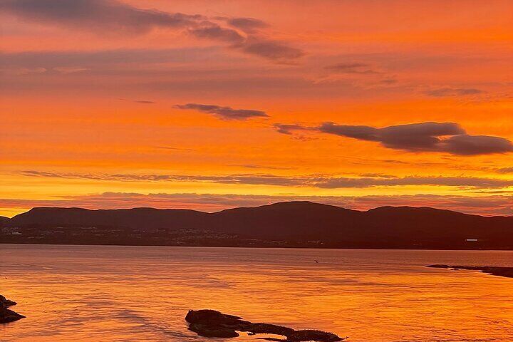 Magical Saltstraumen Tour