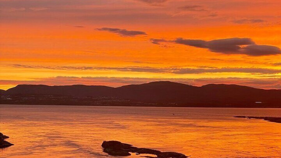 Magical Saltstraumen Tour