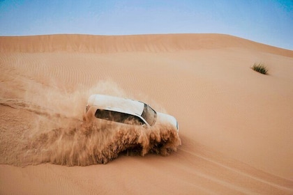 Evening Desert Safari Abu Dhabi with Dune Bashing & BBQ Dinner