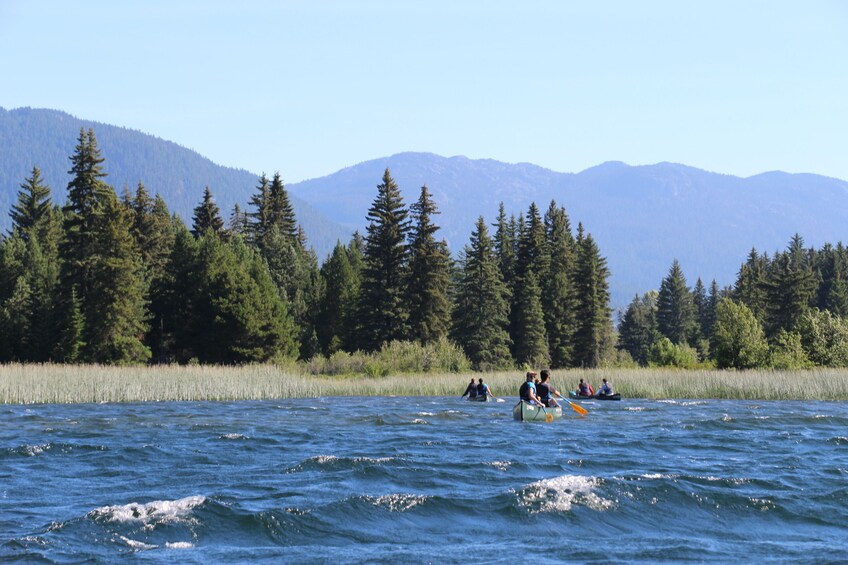 River of Golden Dreams Canoe or Kayak Tour - Private Guided