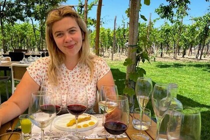 Pompeii Ruins Guided Tour with Entry, Dinner & Wine on Vesuvius