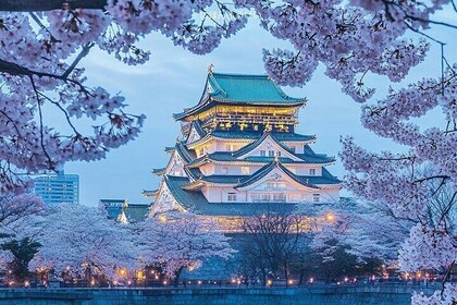 Osaka 8hr Highlights Private Tour with Licensed Guide