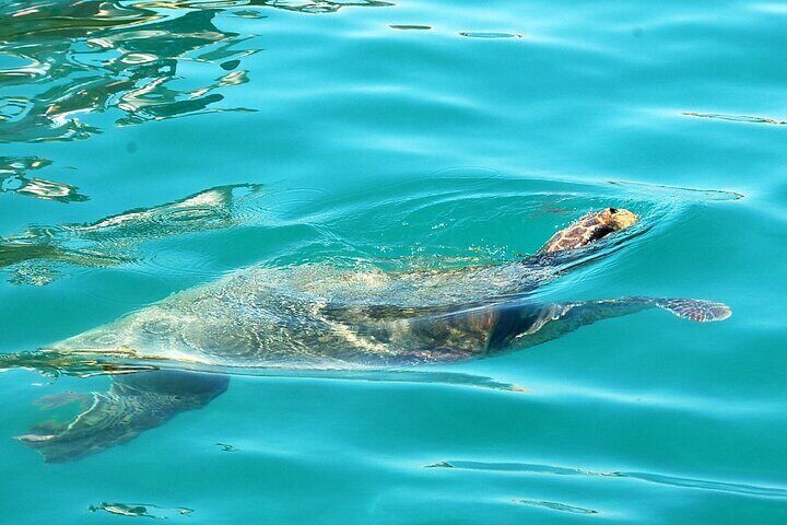 Zakynthos Private & Custom Tour: Explore Island Highlights