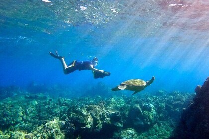 Lahaina Small Group Snorkelling Adventure