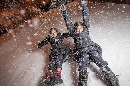 Snow City Singapore Admission Ticket