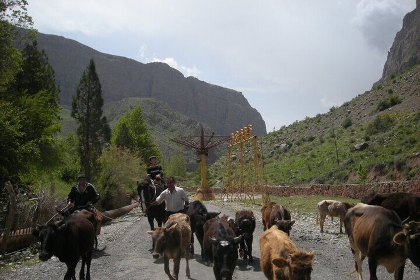 3-Day Private Tour at Uzbekistan mountain