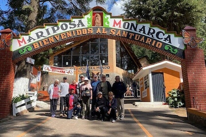 3-Day Private Guided Tour of Monarch Butterflies in Michoacan