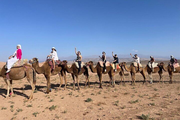 Camel trek