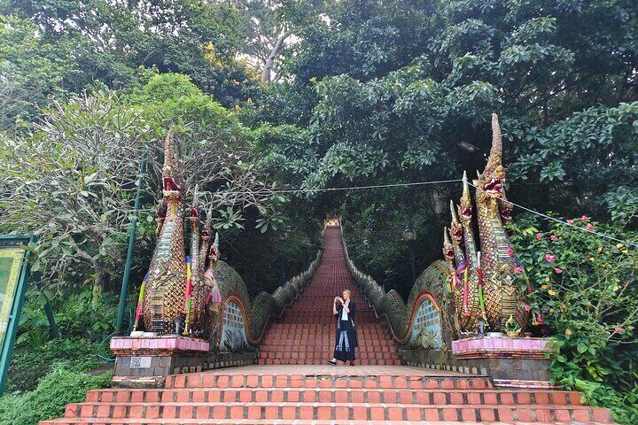 Doi Suthep, Wat Phalat and Wat Jedyod with famous Khao Soy lunch