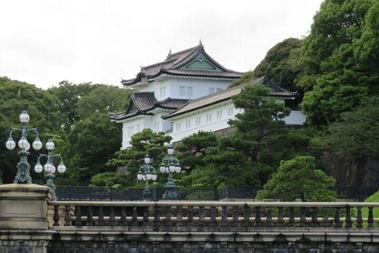 Imperial Palace East Garden Private Tour from Tokyo