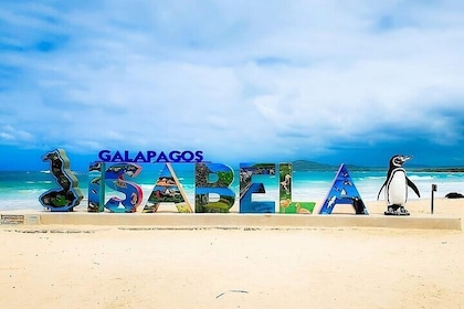 Isabela Island full visit land and Snorkel Islet Tintoreras