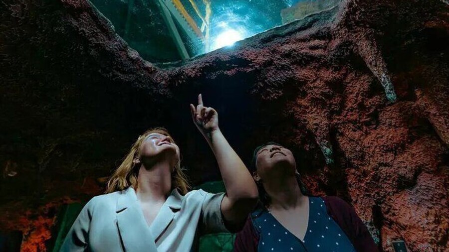 National Aquarium Abu Dhabi Admission – Ocean Adventure