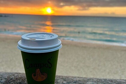 Blue Mountains Road Trip