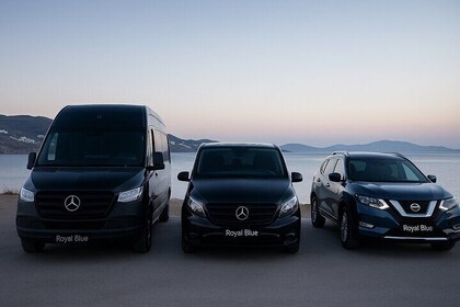 Mykonos Town and Island Private Tour